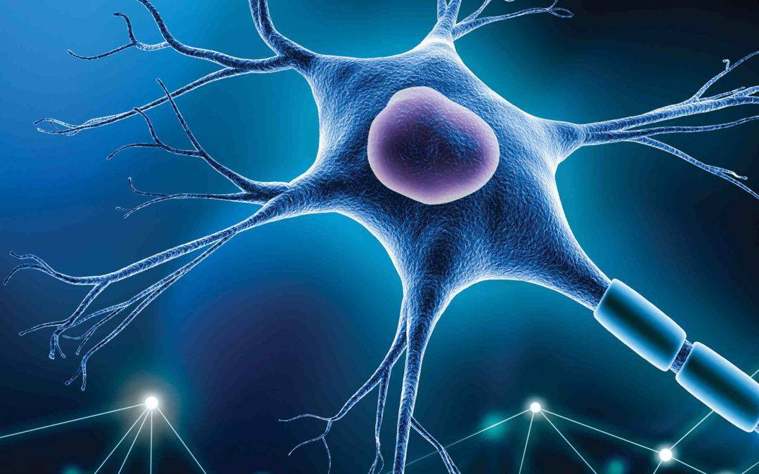 How MAO A Inhibitors Reshape Dopamine Balance